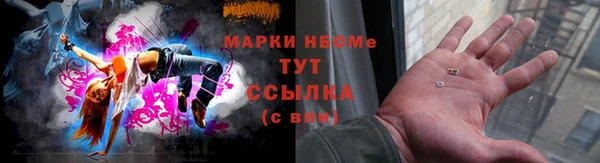 индика Верхний Тагил