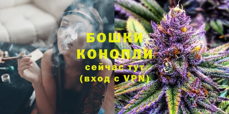 Бошки марихуана White Widow  Вяземский 